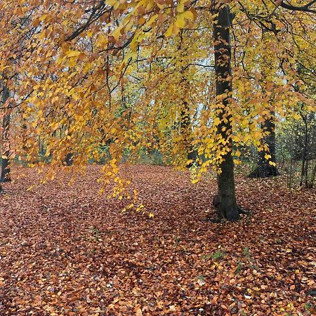 Reservoir Retreat Birmingham Luaran gambar