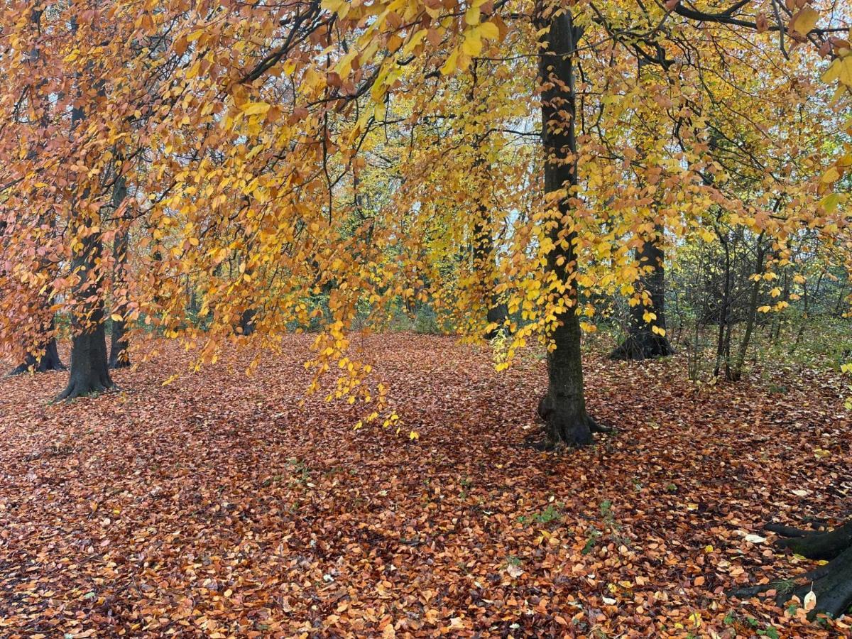 Reservoir Retreat Birmingham Luaran gambar
